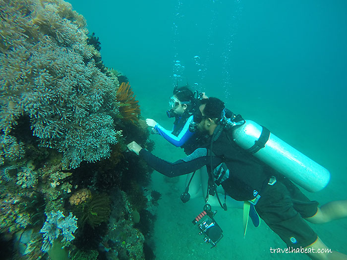 My first ever dive!!!