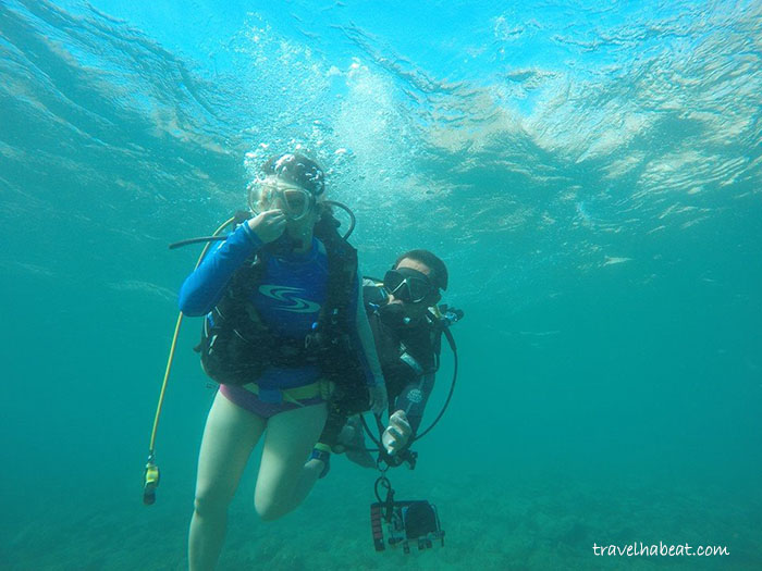 dive-anilao-batangas5