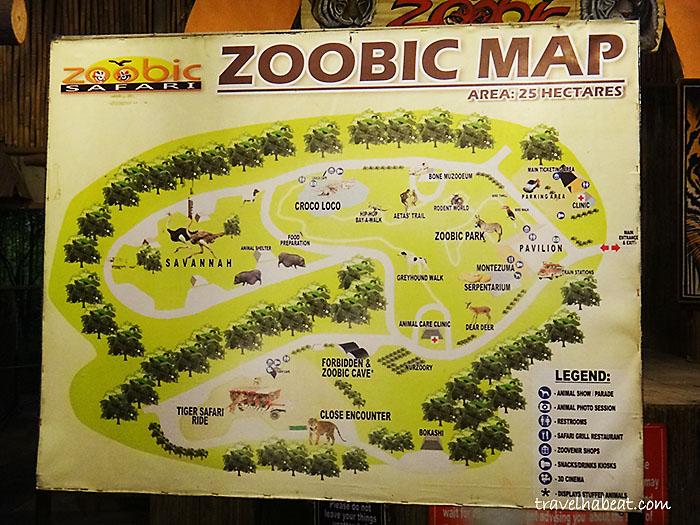 zoobic-safari20