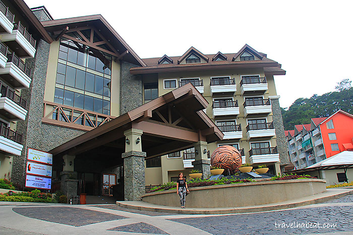 azalea-baguio31