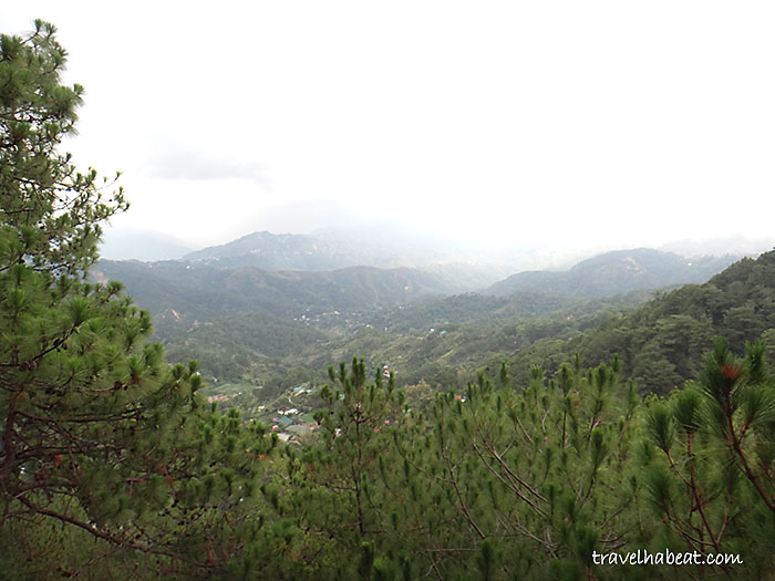 tree-top-adventure-baguio8