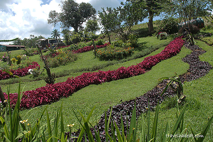 paradizoo12