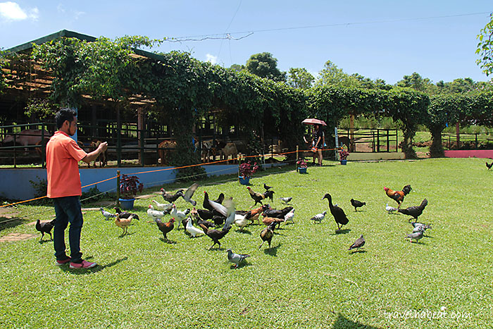 paradizoo5