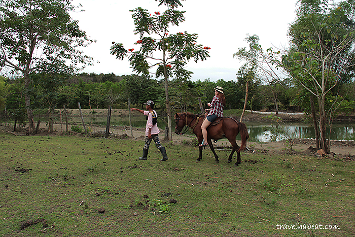 horse back riding