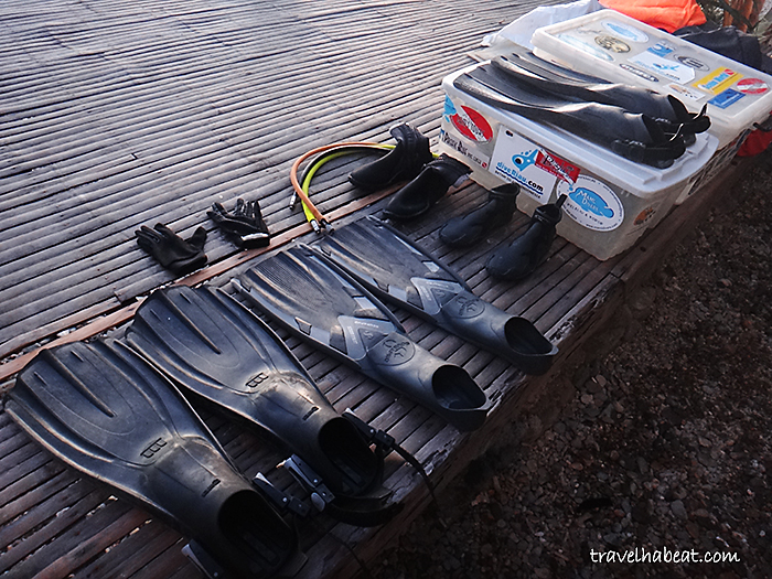 Diving gears for rent.
