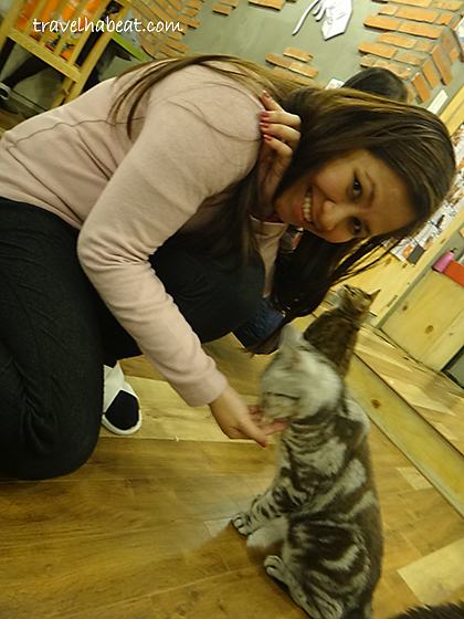 Feeding the cats.