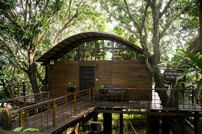 Tree House with Jacuzzi