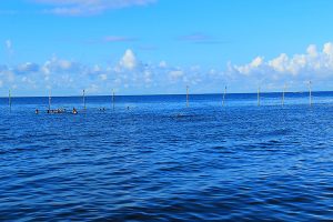 Quezon province beach resort