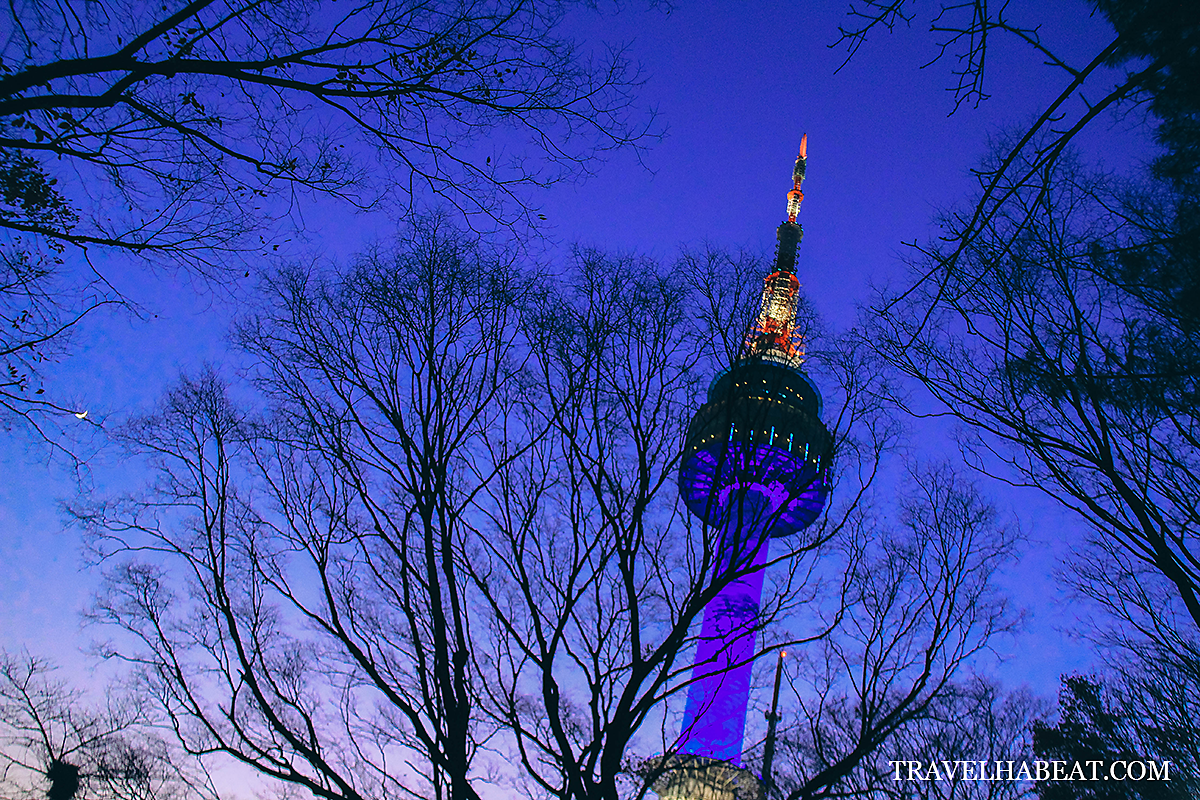 N Seoul Tower at night.