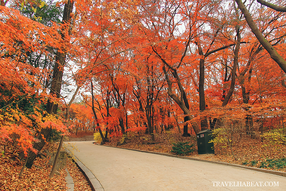 Changdeokgung Palace’s Secret Garden