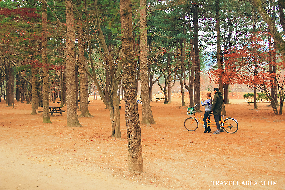 Nami Island