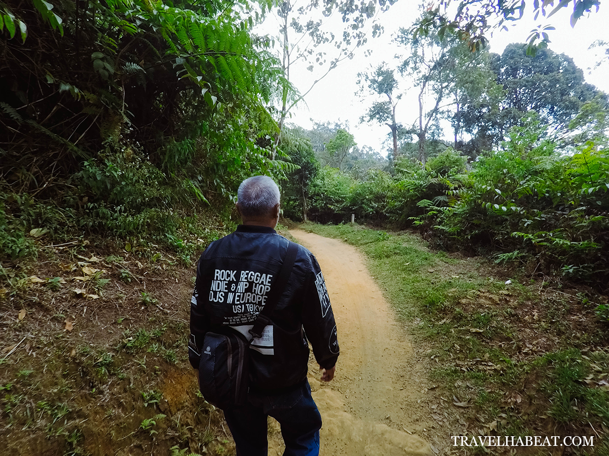 Short hike to Kawah Domas.