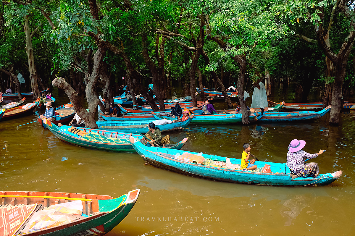 Riding a small canoe at the flooded mangrove forest.