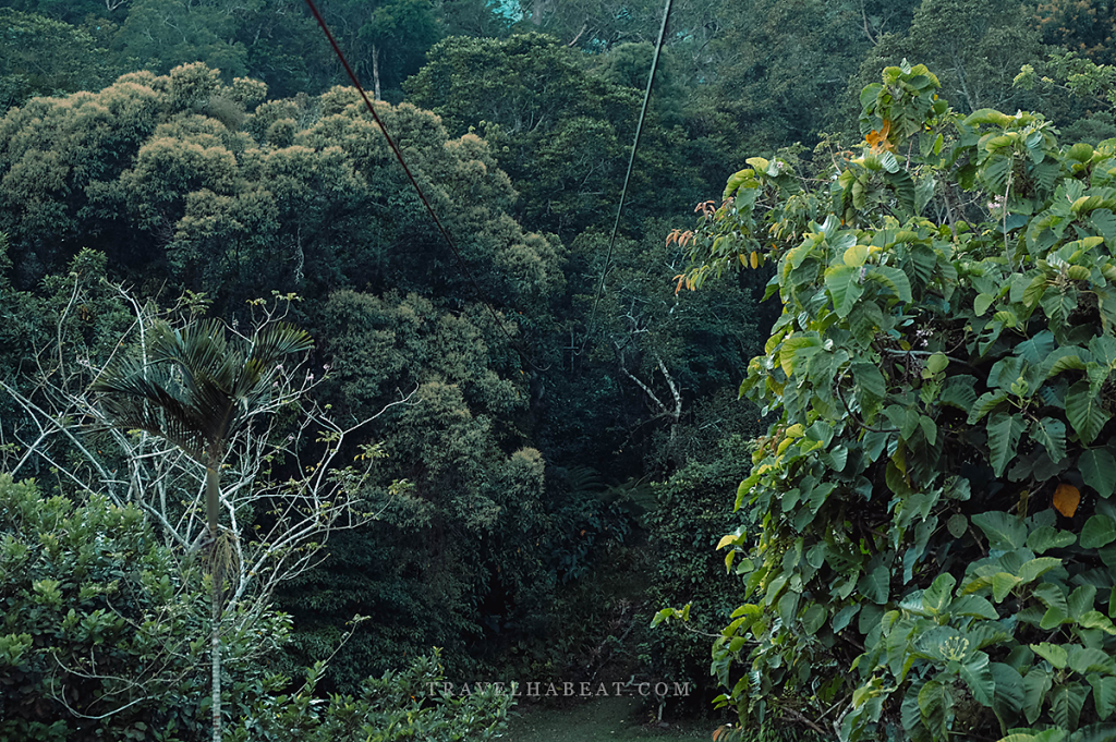 Zipline Facility