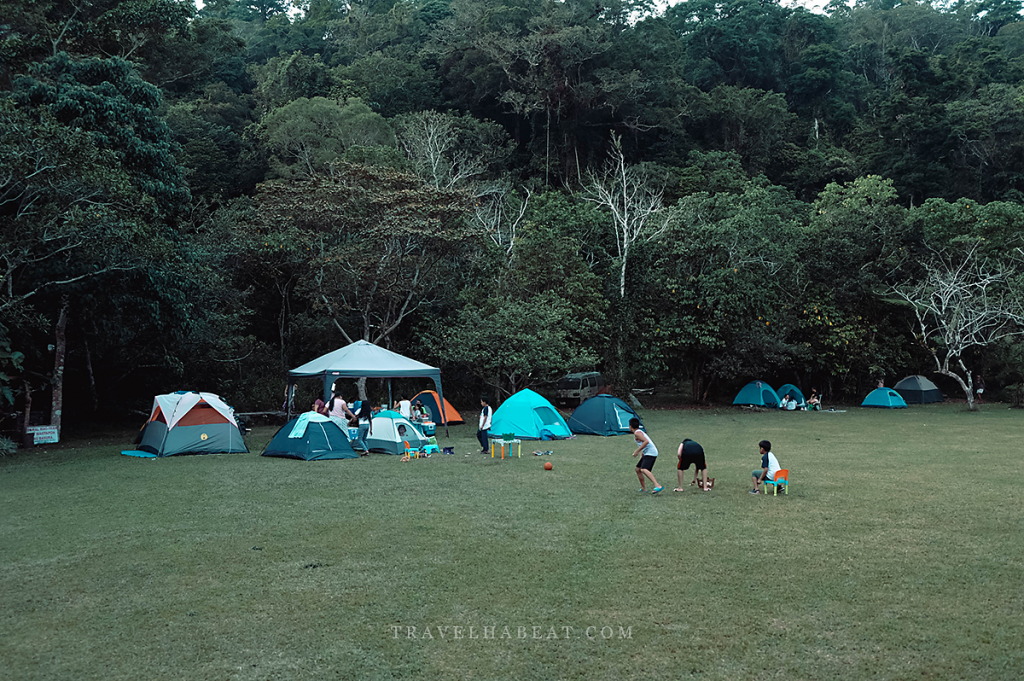 Camping area at Bangkong Kahoy Valley.