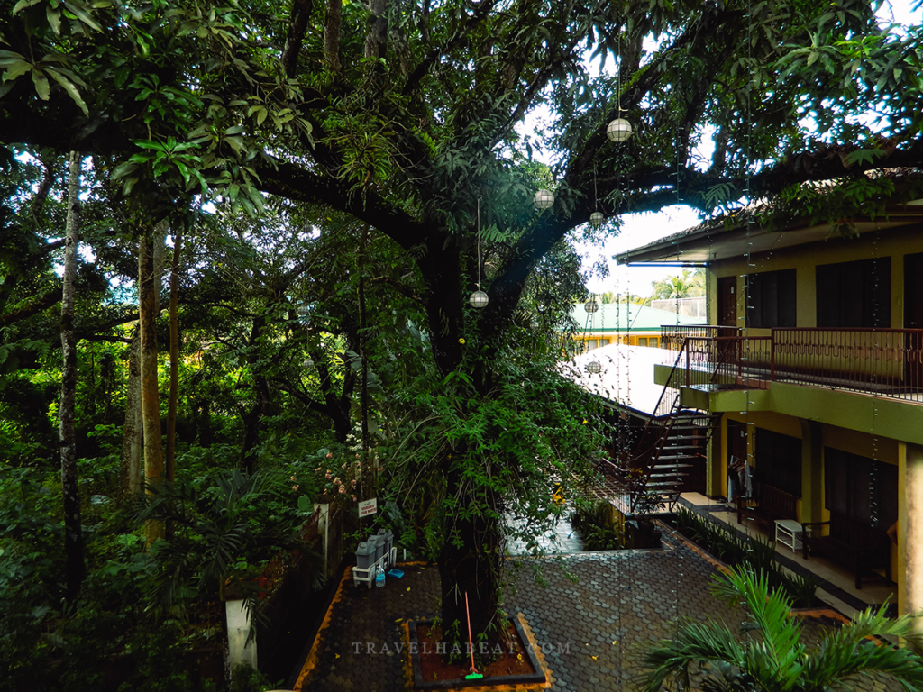 Where to Stay in Coron: Affordable Coron Village Lodge