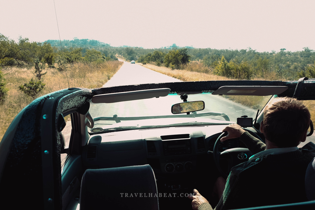 Driving in Kruger National Park