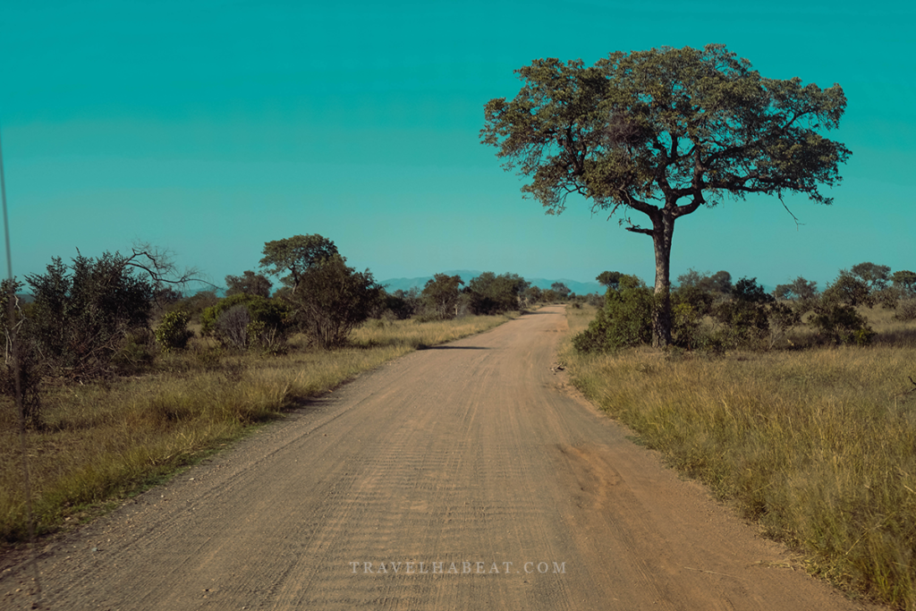 Kruger National Park