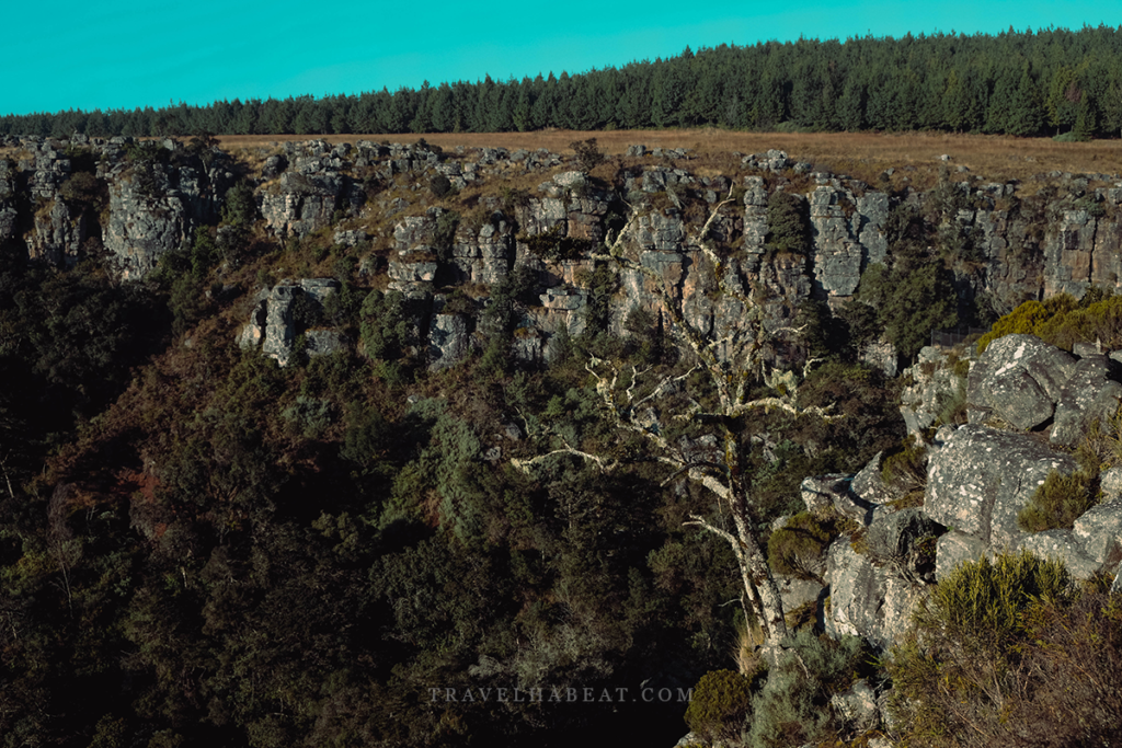 Scenic view at the Pinnacle Rock.